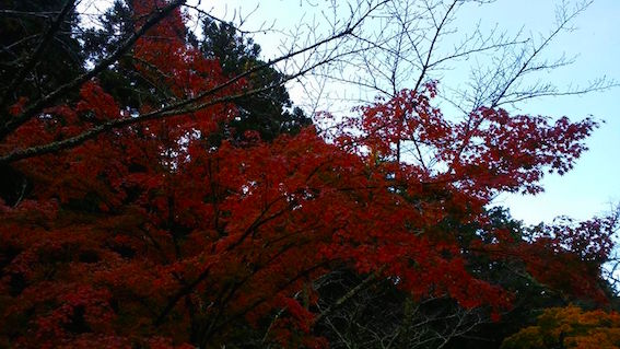 法多山寺スタ