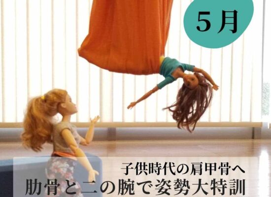 御前崎　牧之原　島田市　菊川　ヨガ教室レッスン　姿勢改善